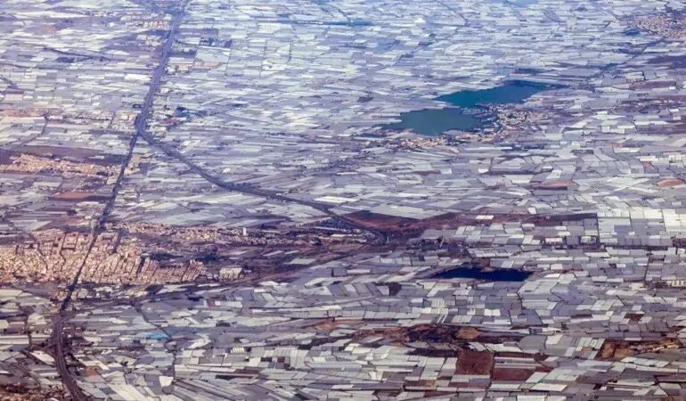 Mar de Plástico transforma região espanhola em horta gigante da Europa