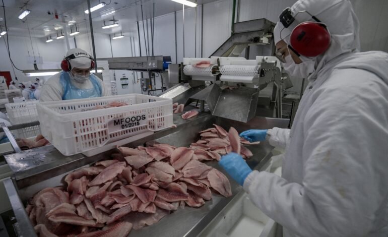 Governo facilita compra de alimentos impactados por tarifas dos EUA