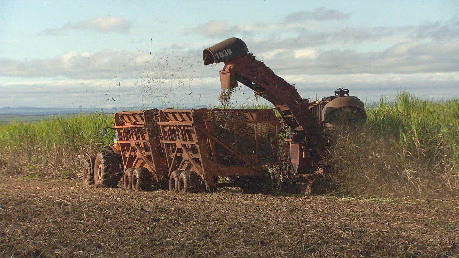 Indústria canavieira de pernambuco apoia megaoperação contra