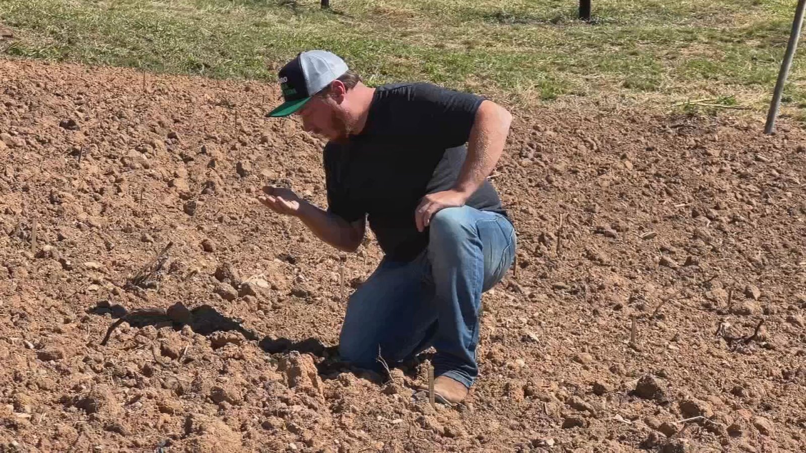 Cultivar com sabedoria: solo saudável, colheita farta em Jundiaí