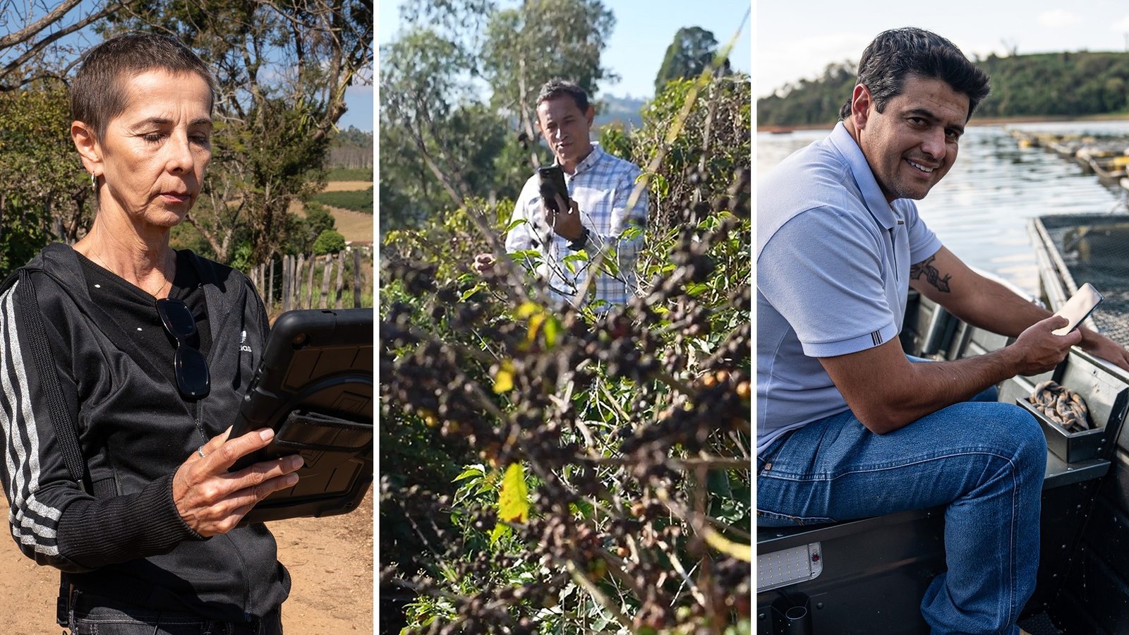 Drone de pulverização soluciona falta de mão de obra nos cafezais