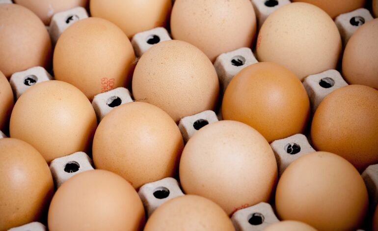 Exportações de frango caem, mas vendas de ovos disparam
