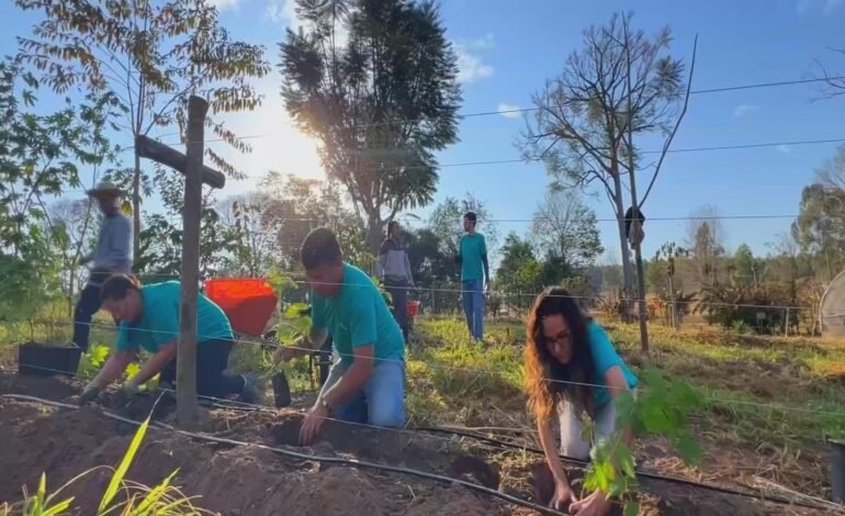 Sítio em marília une produção diversificada e técnicas suste