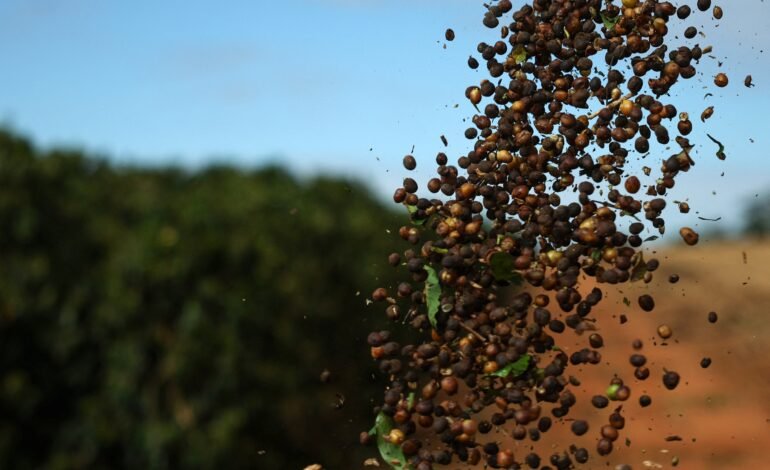 O setor do café brasileiro retomou o otimismo com a