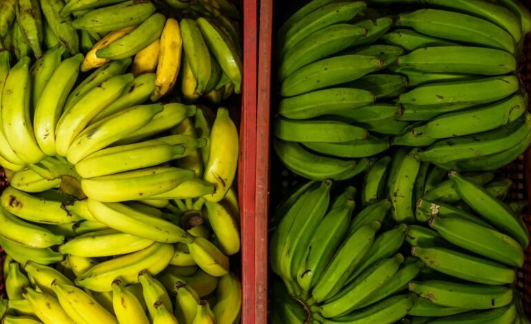 No Espírito Santo, a banana ocupa papel central