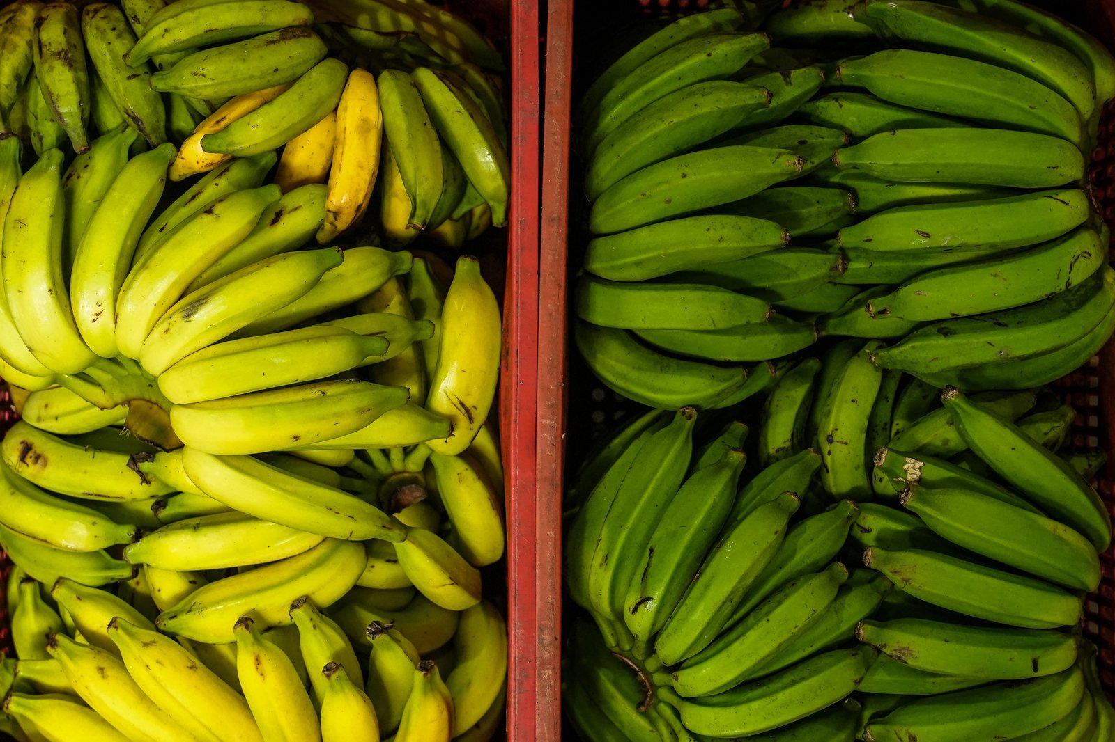 No Espírito Santo, a banana ocupa papel central