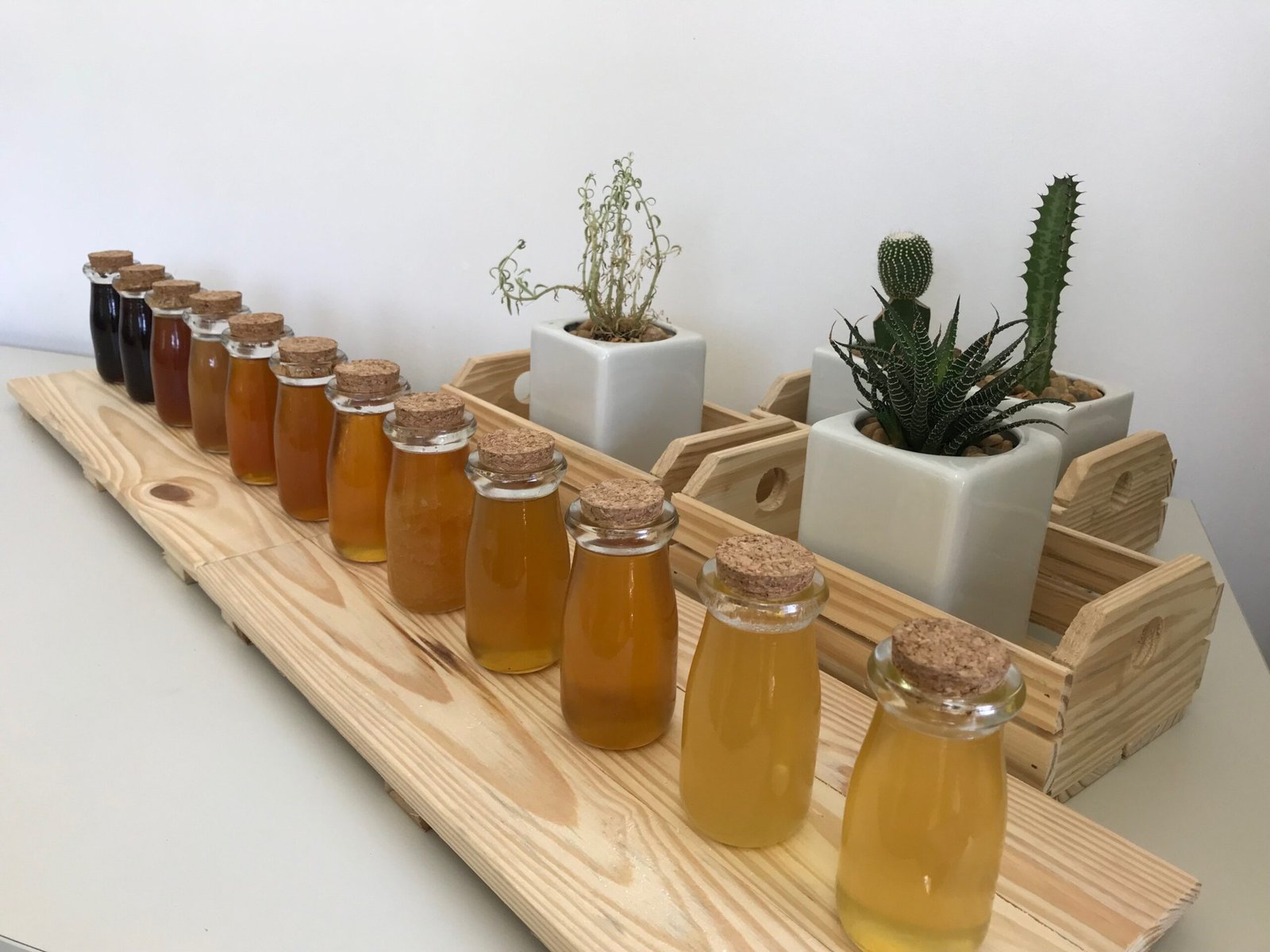 O Brasil produz diversos tipos de mel, que diferem conforme