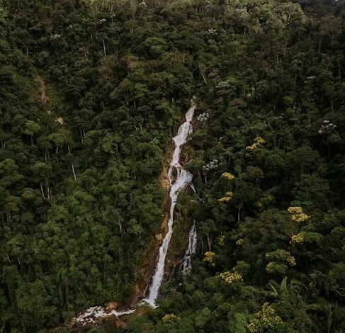 Minas Gerais mantém museus que preservam a história