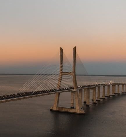 União europeia reconhece brasil livre de gripe aviária e ret