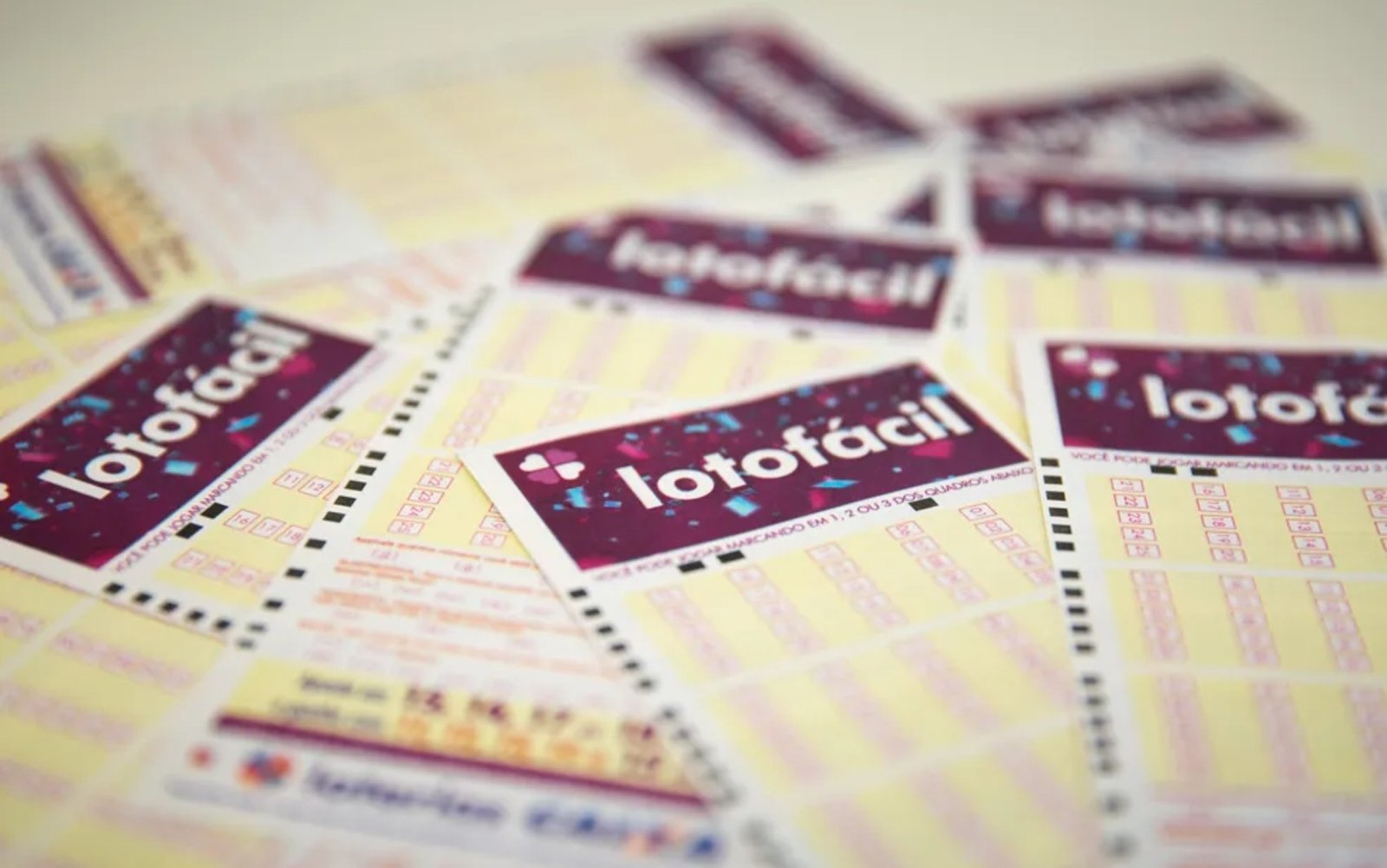 A Lotofácil da Independência sorteia R$ 220 milhões