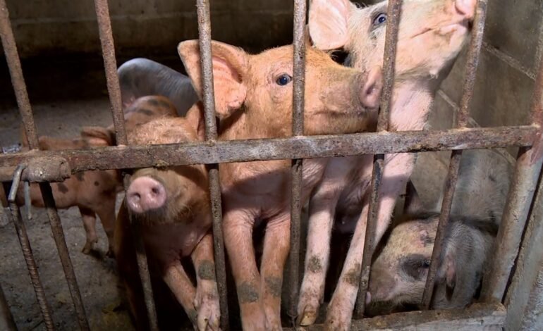 Produtores rurais de Linhares, no Norte do Espírito