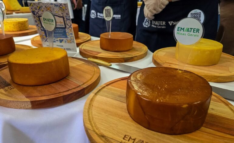 Queijos artesanais produzidos em Araxá, Itamonte, Aiuruoca e