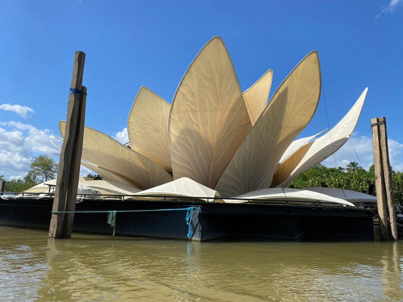 Artistas e celebridades de várias regiões do Brasil