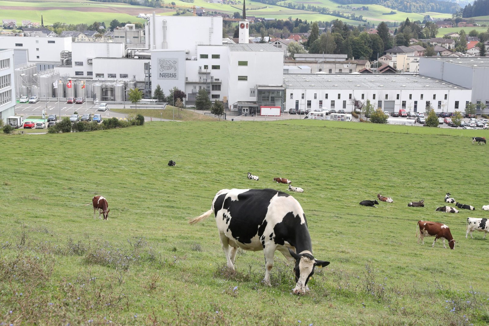 A Nestlé anunciou a saída da Dairy Methane Action Alliance