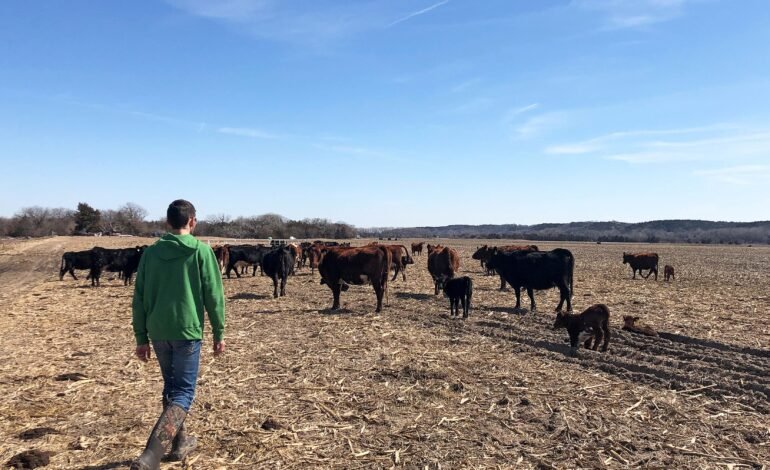 Fazendeiros americanos criticam plano de trump para aumentar