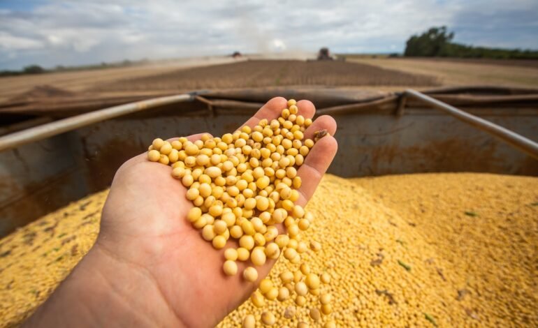 A exportação de soja do Brasil atingiu 102,2 milhões de