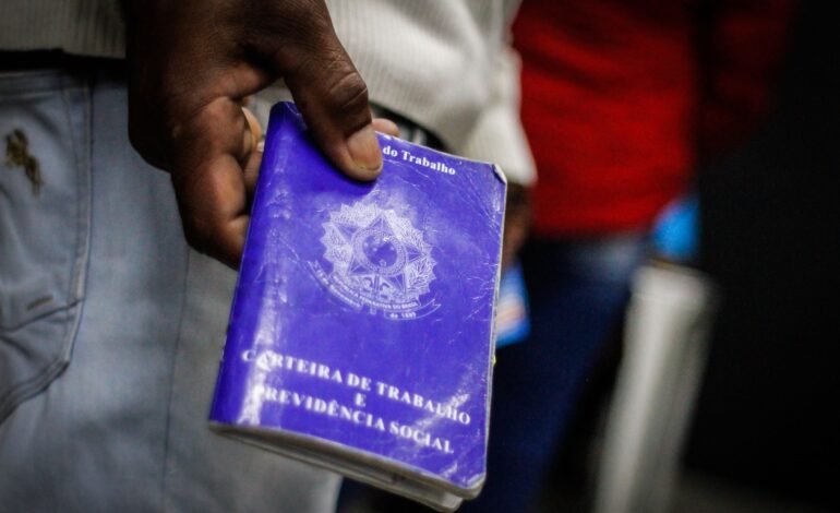 O Instituto Brasileiro de Geografia e Estatística (IBGE)