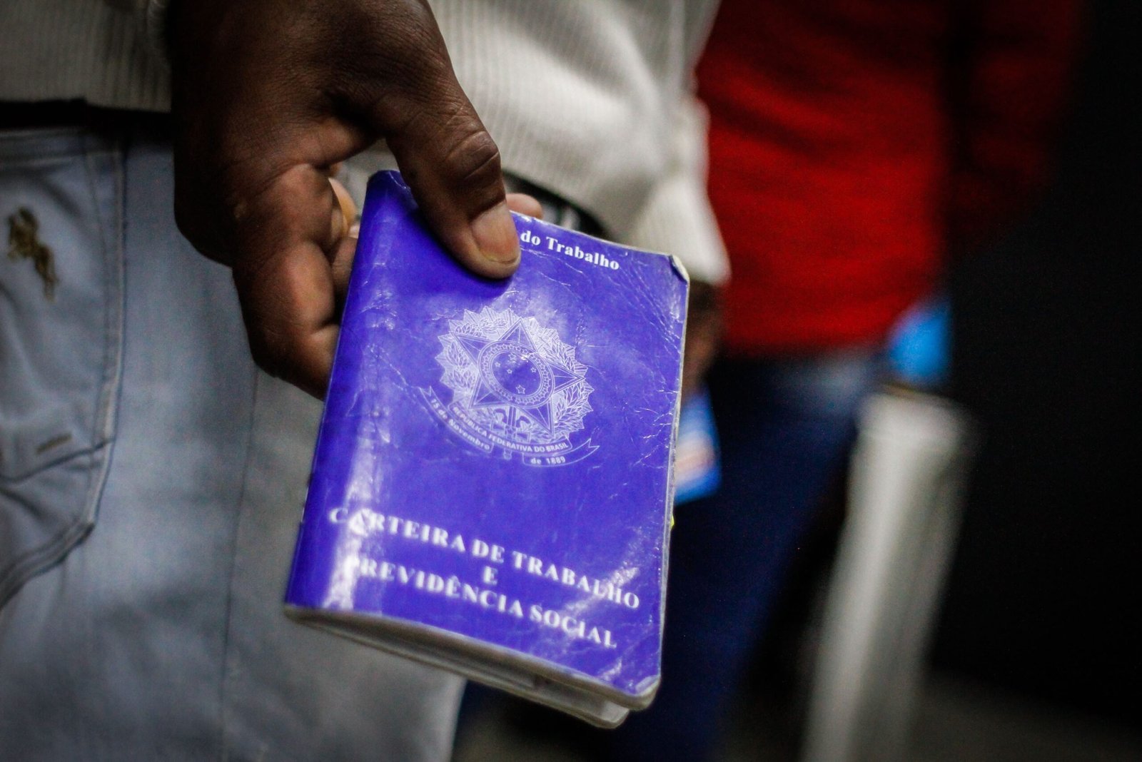 O Instituto Brasileiro de Geografia e Estatística (IBGE)