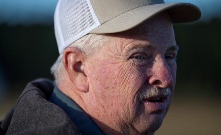 O preço da soja nos Estados Unidos caiu significativamente e