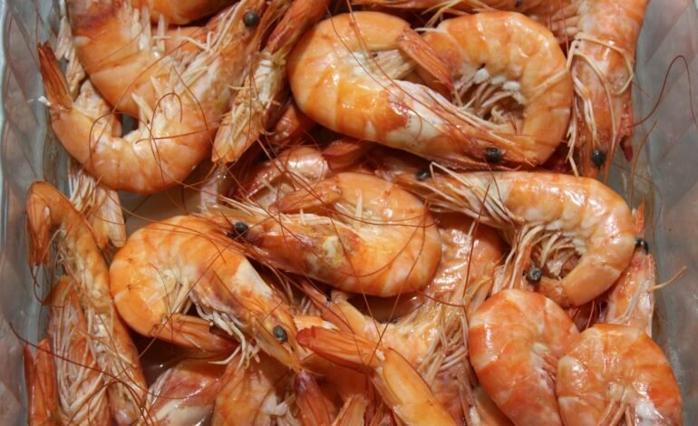 O governo indonésio reforçou o controle em uma