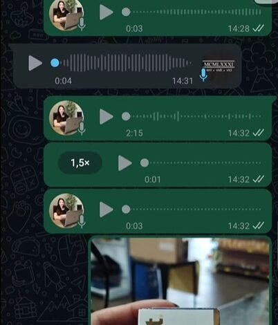 Uma calopsita de Rolândia (PR) enviou áudios e