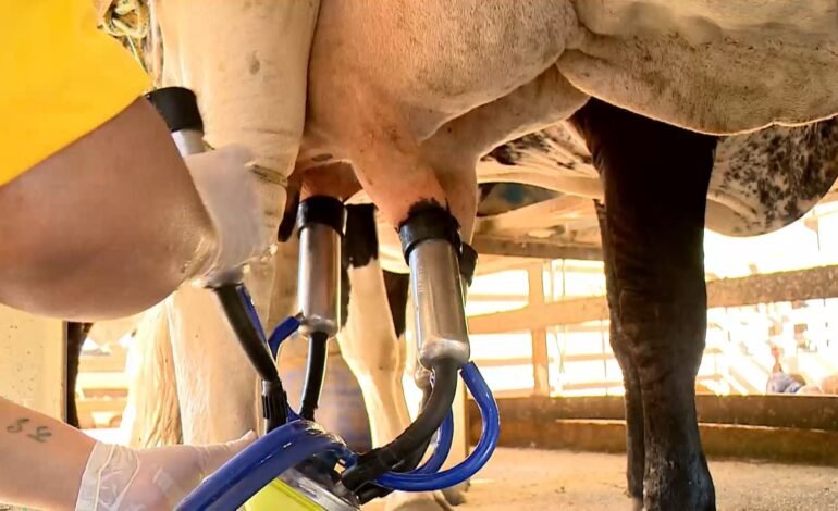 Produção de leite Reprodução/TV Gazeta O preço do