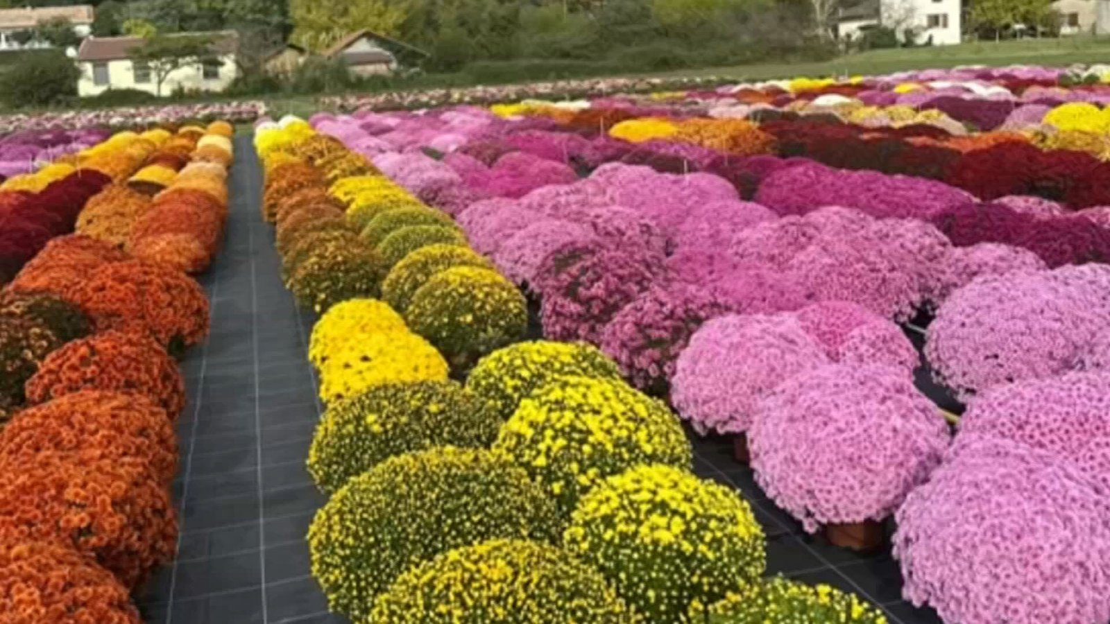 Uma propriedade agrícola em Engenheiro Schmitt, distrito de