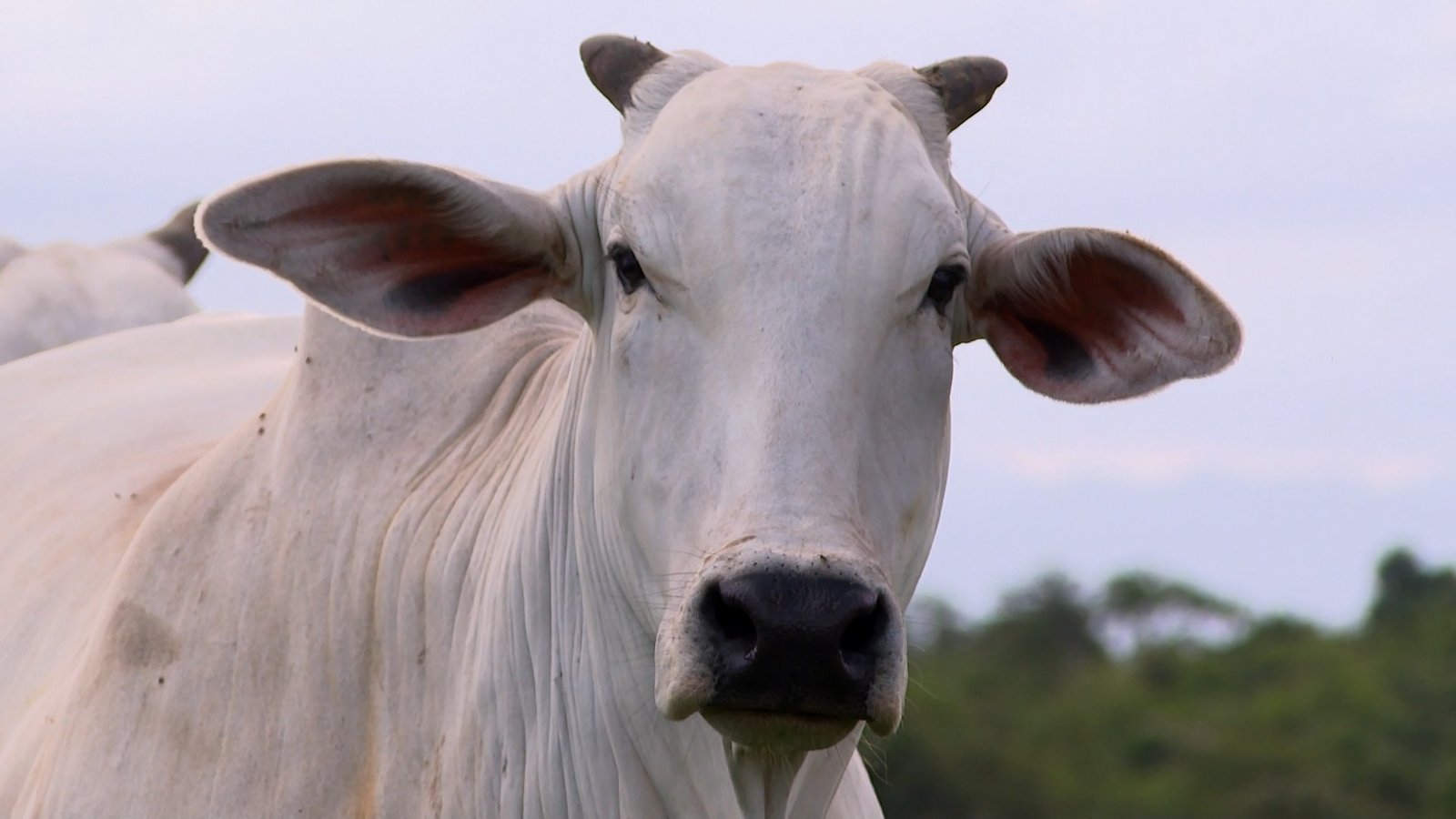 O Espírito Santo registrou crescimento nas exportações de