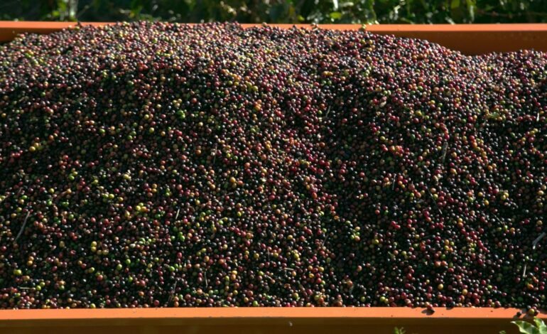 Veja os vídeos que estão em alta no g1 As