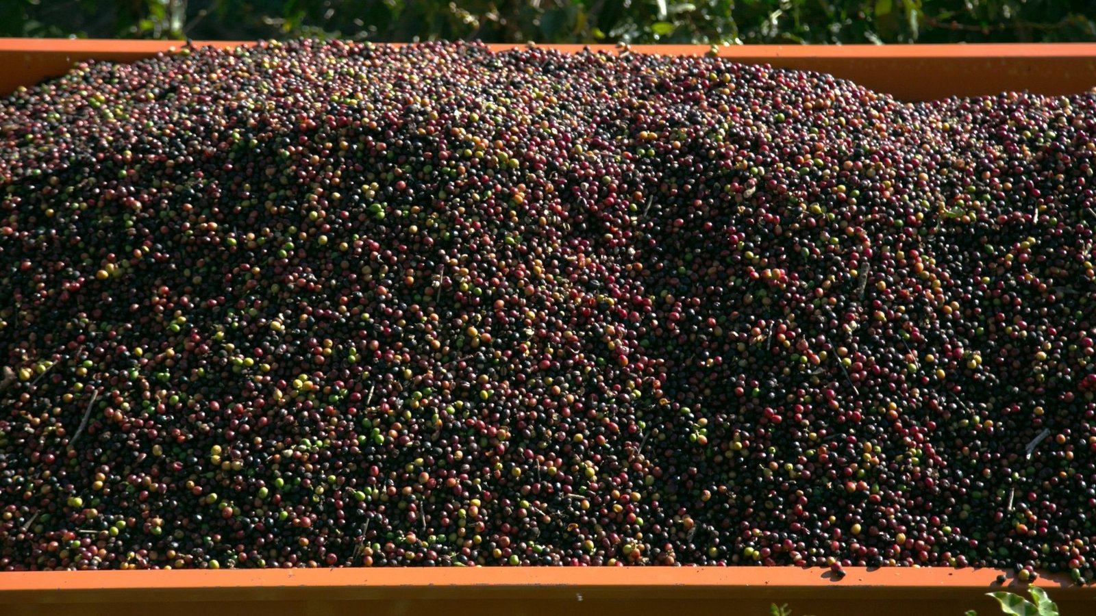 Veja os vídeos que estão em alta no g1 As