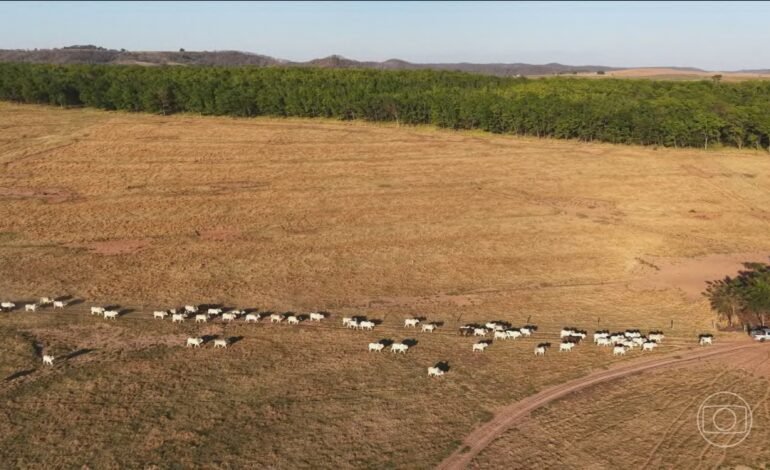 Novas técnicas vêm reduzindo o impacto ambiental da