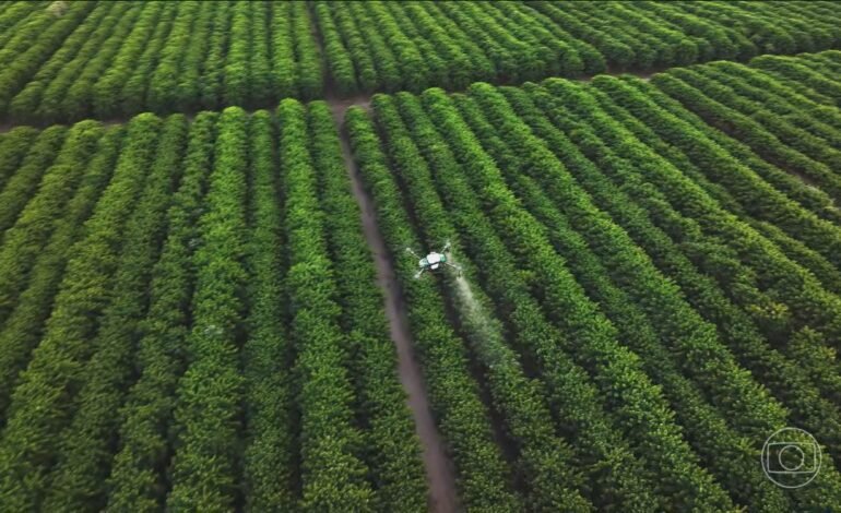 O regime de chuvas irregulares e o aumento
