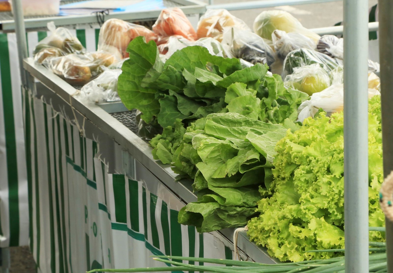 A Empresa Brasileira de Pesquisa Agropecuária (Embrapa) lanç