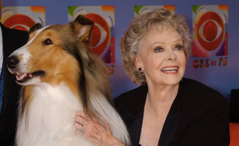 A atriz americana June Lockhart morreu nesta quinta-feira
