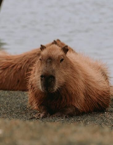 A economia brasileira criou 213 mil empregos formais