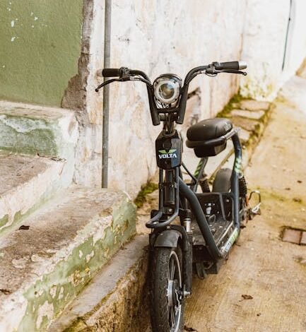 A Globo anunciou nesta segunda-feira (13), no evento Upfront