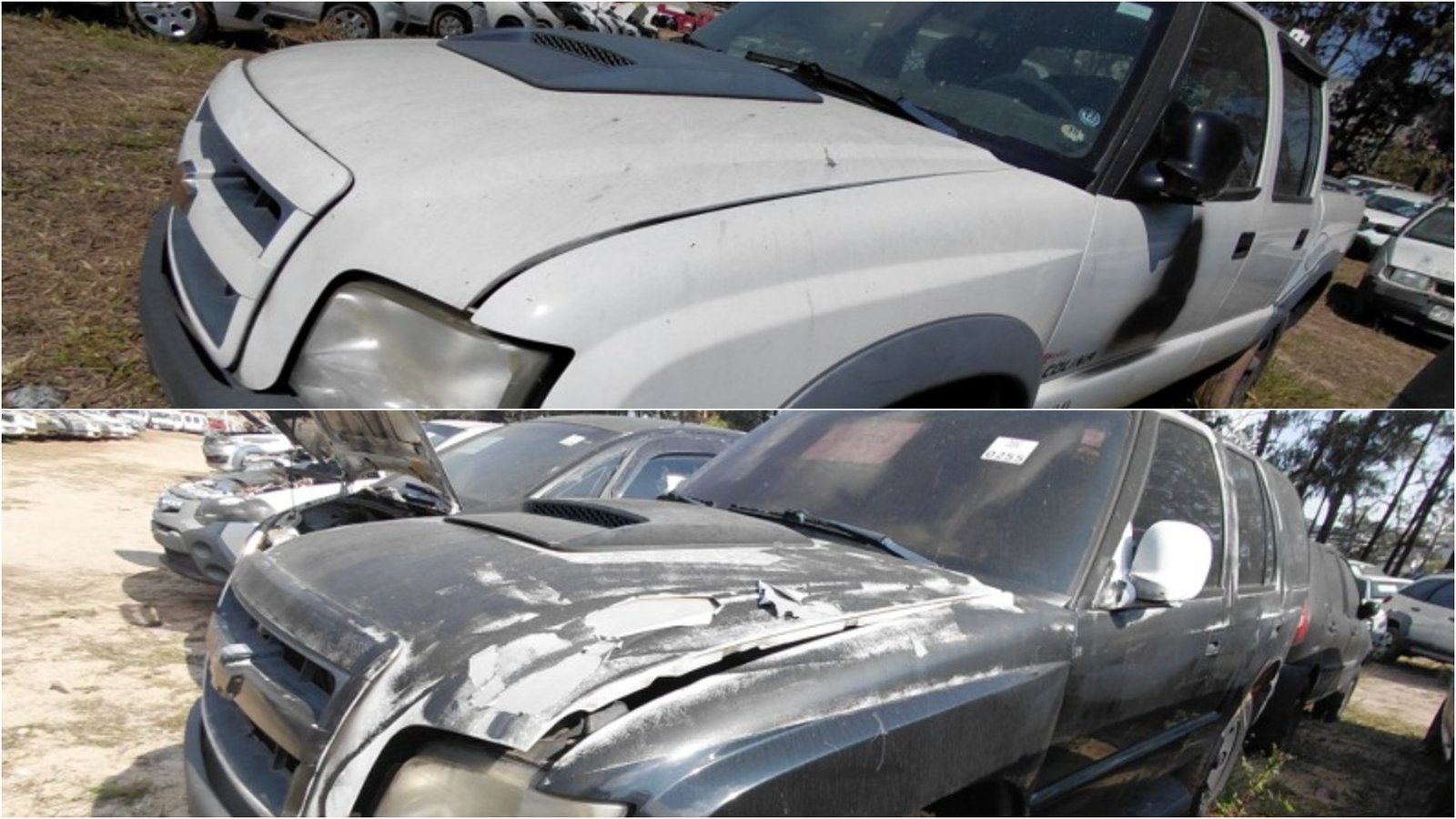 O Governo do Estado de São Paulo realiza a partir