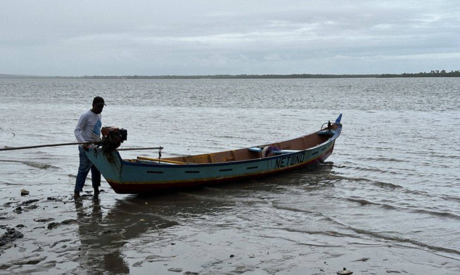 A Câmara dos Deputados aprovou nesta quarta-feira (29)