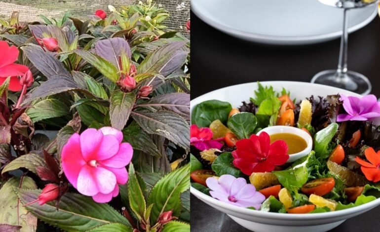 Flores comestíveis ganham espaço na gastronomia e na