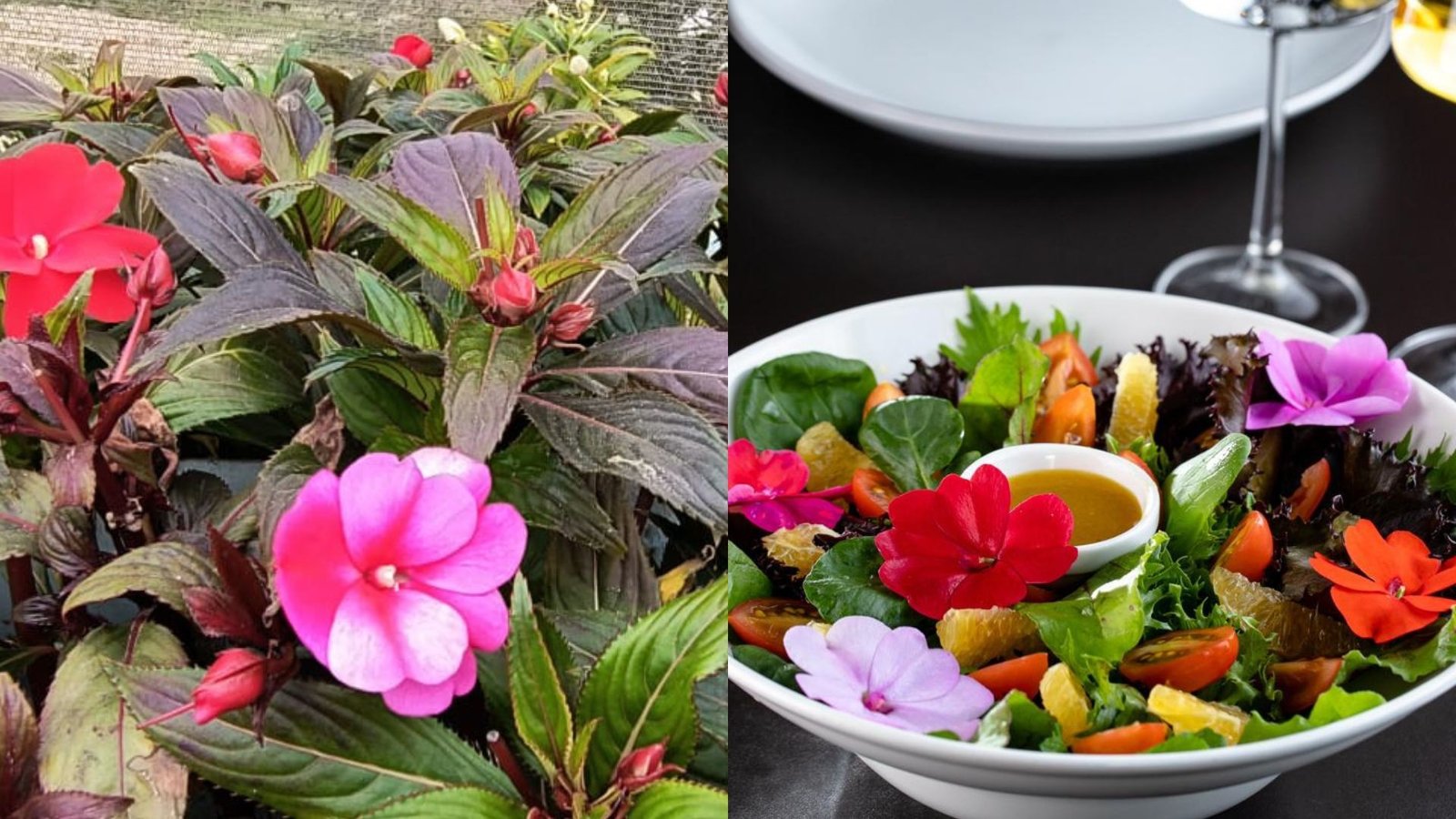 Flores comestíveis ganham espaço na gastronomia e na