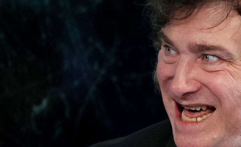 Uma comissão de investigação do Congresso argentino afirmou