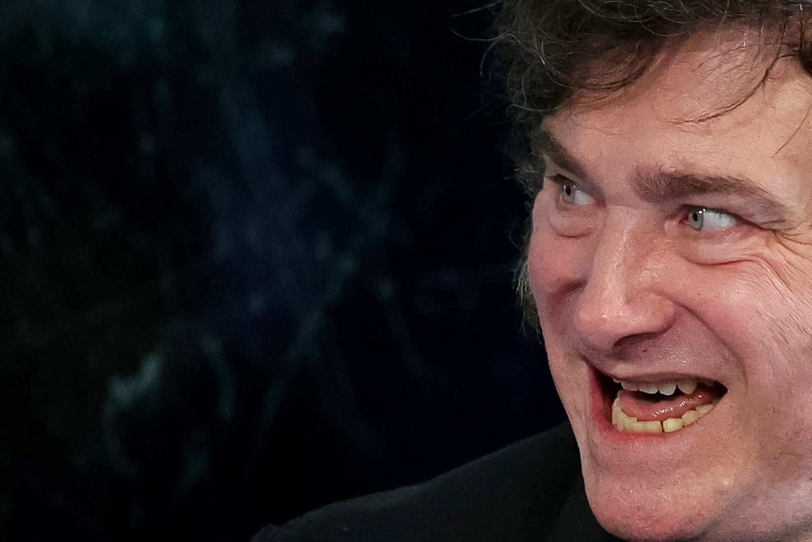 Uma comissão de investigação do Congresso argentino afirmou