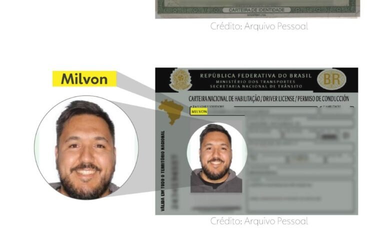 O Instituto Brasileiro de Geografia e Estatística (IBGE)