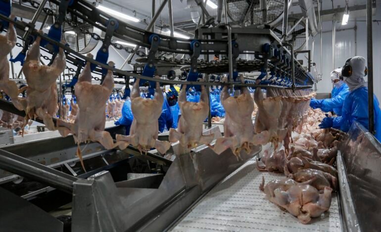 A China suspendeu o embargo às importações de