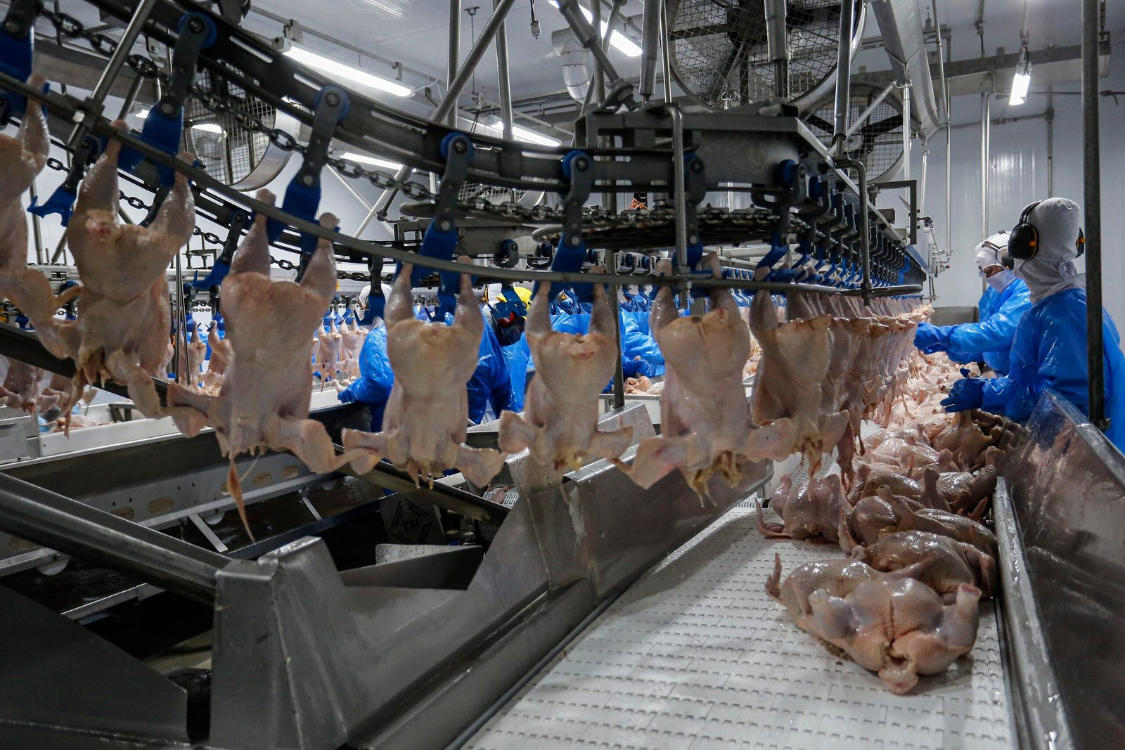 A China suspendeu o embargo às importações de