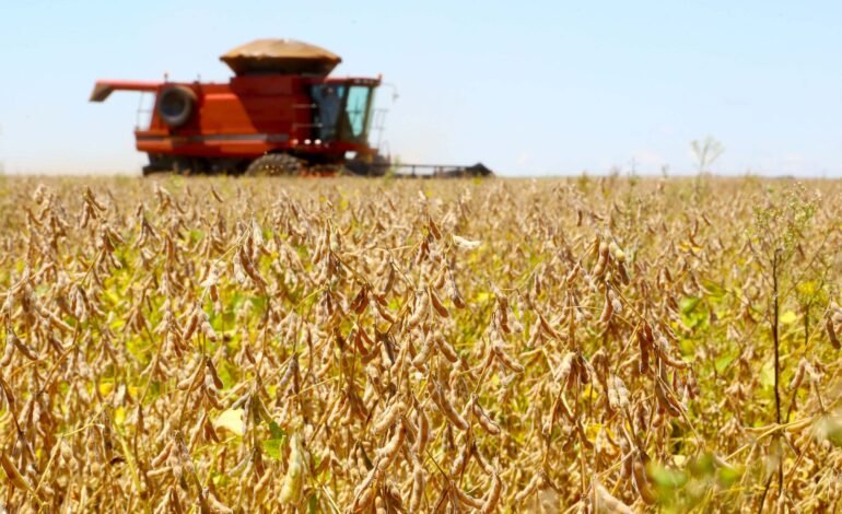 O ministro do Supremo Tribunal Federal (STF) Flávio