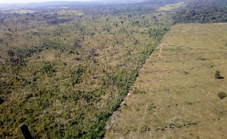 Os países da União Europeia decidiram nesta quarta-feira