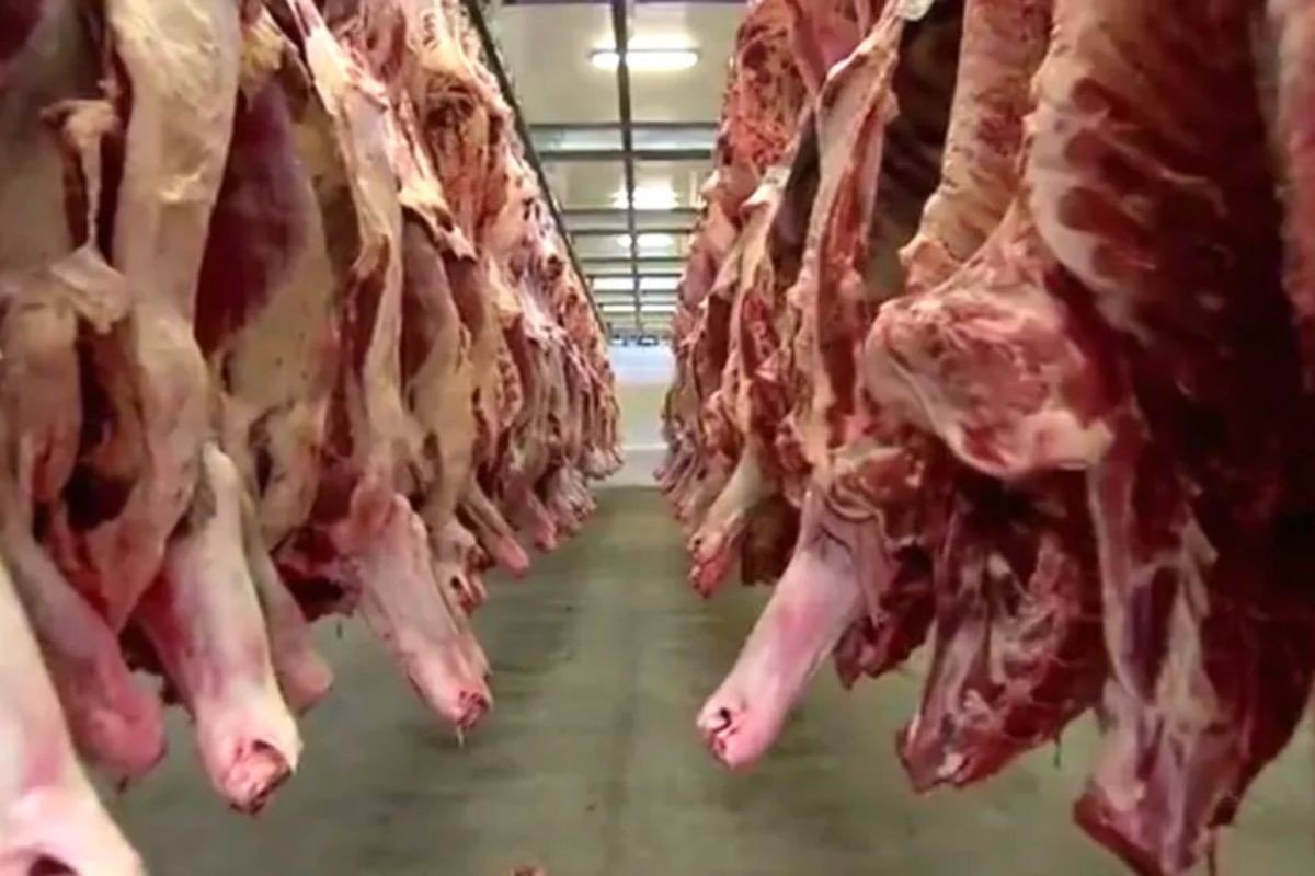 Os Estados Unidos anunciaram nesta quinta-feira (20) a