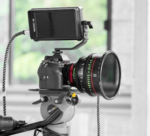 A atriz Sydney Sweeney enfrenta fracassos nas bilheterias