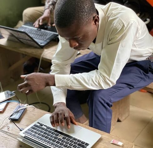 O Instituto Brasileiro de Geografia e Estatística (IBGE)